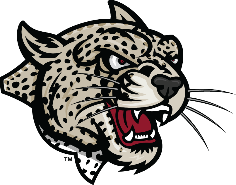 Lafayette Leopards 2000-Pres Partial Logo diy iron on heat transfer